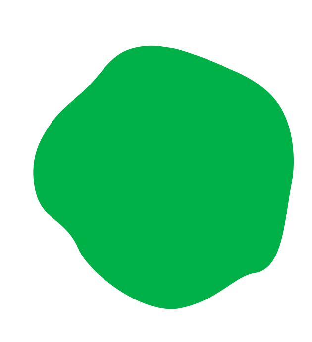 Layer